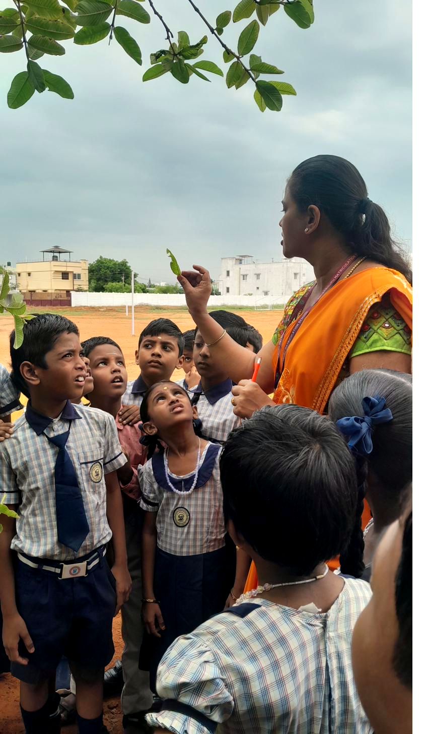 A teacher showing children something during an outdoor lesson